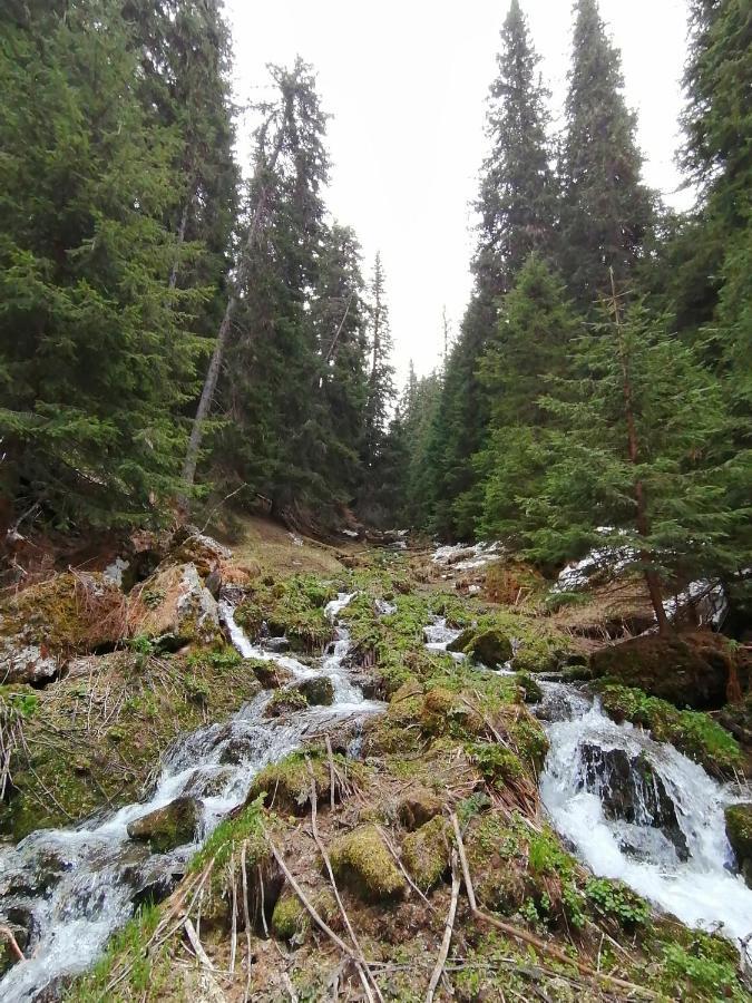 Petkovi Аpartments, Borovets Gardens - One-Bedroom And Two-Bedroom Apartments Zewnętrze zdjęcie