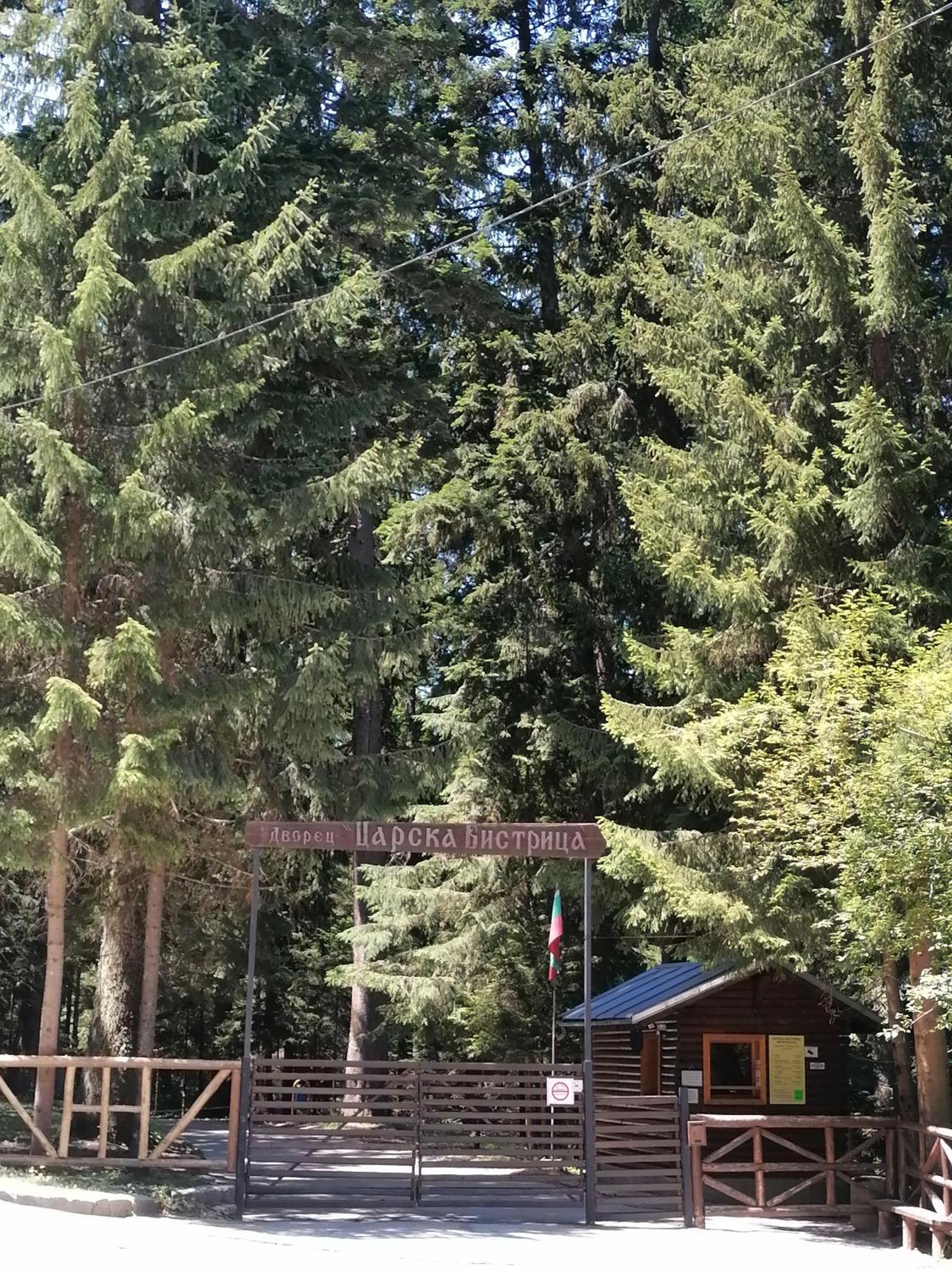 Petkovi Аpartments, Borovets Gardens - One-Bedroom And Two-Bedroom Apartments Zewnętrze zdjęcie